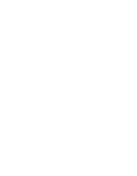 Falcon Capital